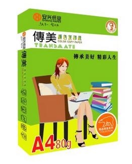 传美 A4 80G 彩色复印纸 单包装 500张/包
