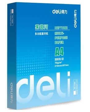 得力 (deli) 7401 莱茵河复印纸 70g A4 5包/箱