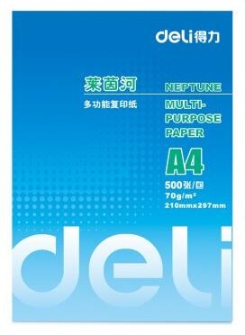 得力 (deli) 7401 莱茵河复印纸 70g A4 5包/箱