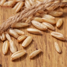 全胚芽燕麦米 莜麦 塞北粮仓粗粮杂粮1kg
