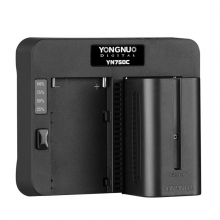 永诺（Yongnuo）YN360S补光棒双色温LED补光灯柔光轻薄手持冰灯摄像灯 360S+充电器+750电池 单色