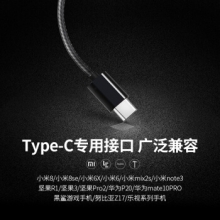 维肯 Type-C手机耳机 TypeC专用接口版