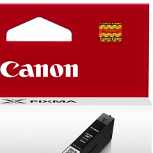 佳能（Canon） CLI-851BK 黑色墨盒 （适用IP7280/MX728/928/IX6780/6880/MG6380/MG5480）