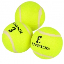 ENPEX乐士 业余娱乐练习款三只装网球