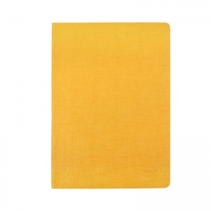 前通（Front） DT10 B501 金边真皮笔记本 B5 200页（黄棕色）