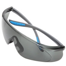 霍尼韦尔 HONEYWELL 300111护目镜S300A蓝款灰色镜片男女防风防沙防尘防雾骑行运动眼镜10副/盒
