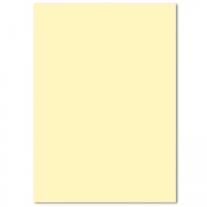 欧菲思达 160g A4 彩色复印纸100张/包 黄色