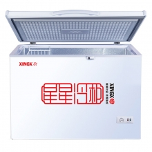 星星（XINGX） 219升 商用家用冰柜 冷藏冷冻转换冷柜 单温单箱冰柜 顶开门冰箱 BD/BC-219E