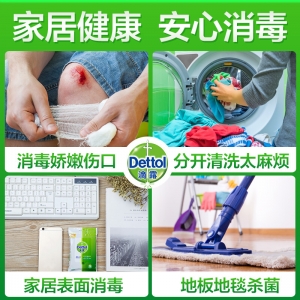 滴露Dettol 消毒液 100ml 家居衣物除菌液