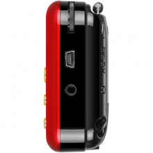 纽曼（Newsmy）L57双电双插卡收音机 音箱 MP3外响播放器 便携式音响随身听  红色