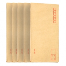 广博 (GuangBo) EN-3 牛皮纸邮局标准信封110*220mm 20只装
