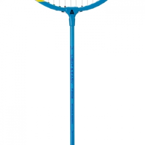 安格耐特 F2102 羽毛球拍 (蓝色) (2个/副)
