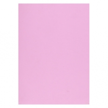 传美 A4 80g 彩色复印纸（粉红色）500张/包 10包/箱