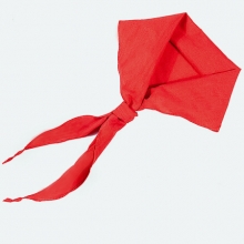 小学生少先队员红领巾 1.2m 单条装