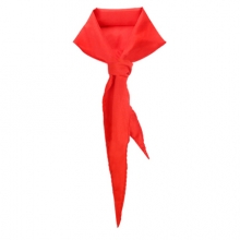 小学生少先队员红领巾 1.2m 单条装