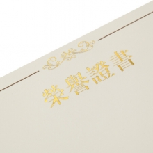 广博(GuangBo)ZZS6739 12K荣誉证书内芯 20张/包