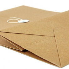 晨好（ CHENHAO ）A4牛皮纸档案袋 文件袋 加厚200g 底宽5cm 25个/包