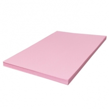 天章(TANGO) A4 80g 多功能彩色复印纸 粉红色 500张/包