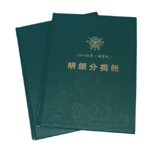 成文厚 101-93-10 记账本明细分类账 大本明细分类账16开（50页）