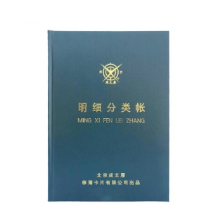 成文厚 101-93-10 记账本明细分类账 大本明细分类账16开（50页）