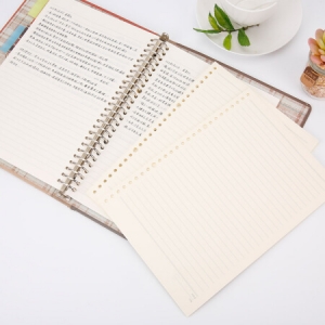 晨光 APY9A045 B5/26孔活页芯（经典办公）