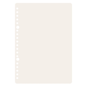 齐心 CLB51004 26孔活页替芯 B5 100张 空白  橙色