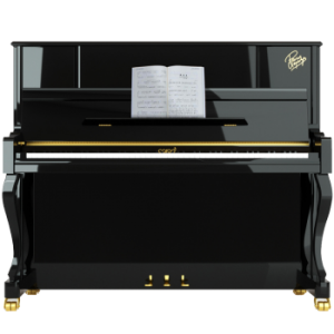 卡罗德（CAROD）CJ3 全新演奏立式钢琴 123高度 黑色