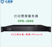 云澍聚CPS-3000打印服务器（含控制器15台）