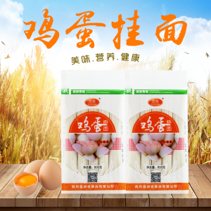 【甘肃】【陇南】【西和县】扶贫产品 鸡蛋挂面800g绿色食品 营养健康面条
