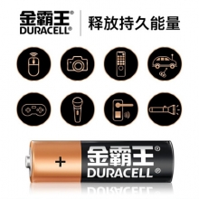 金霸王(Duracell)5号碱性电池  适用鼠标/键盘/血压计/电子秤/遥控器/儿童玩具