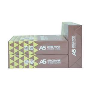 欧菲思达 A5 70g 复印纸咖色包装 10包/箱 （计价单位：包）