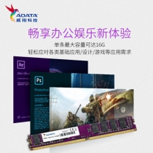 威刚（ADATA）DDR4 2666 4GB 台式机内存 万紫千红