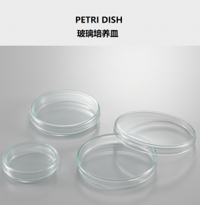 亚速旺（AS ONE） 2-9169-01 玻璃培养皿 φ40×12mm 40/12 (1个)