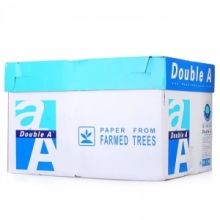 DoubleA A3复印纸 5包/箱(80g)