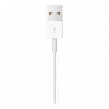 苹果（Apple） 30 针转 USB 连接线
