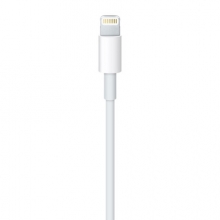 苹果（Apple） 30 针转 USB 连接线