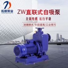 拓鼎 65ZW25-50  ZW直连式离心排污自吸泵 ZW排污自吸泵