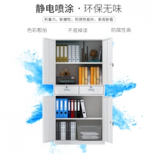 中伟文件柜铁皮柜办公柜钢制资料储物档案凭证上下铁门中二斗柜