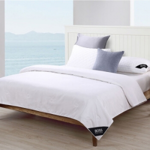 Boss  HBCS-007-压花LOGO桑蚕丝被