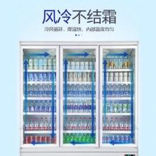乐创(lecon)展示柜冷藏 饮料柜 下置大容积立式双门嵌入式便利店果蔬水果保鲜柜 LC-J-ZSC02