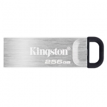 金士顿（Kingston） DTKN/256GB USB 3.2 Gen 1 U盘 金属外壳 读速200MB/s